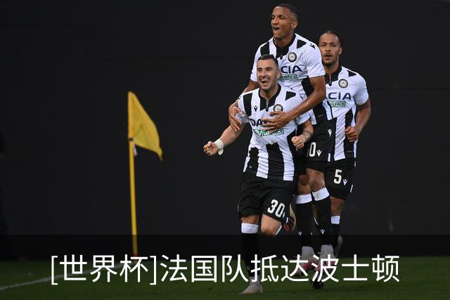 [世界杯]法国队抵达波士顿